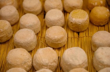 Peynir koleksiyonu, yumuşak keçi peyniri küflü Fransız peyniri Chavignol peyniri peynir tarlasında Sancerre yakınlarında üretiliyor.