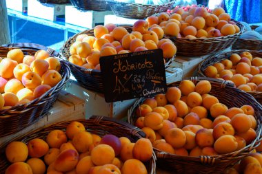 Fransa 'nın Provence şehrinde yeni olgun, sarı-kırmızı kayısı hasadı meyveleri. İngilizce çeviri: Cavaillon yapımcısından kayısı.