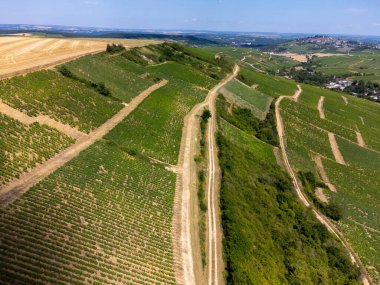 Sancerre Chavignol tepe üzüm bağları, Fransa, Cher departmanı, iver Loire vadisine tepeden bakan, beyaz Sancerre kuru kurtarıcı beyaz şarap