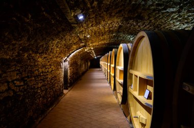 Chateauneuf-du-Pape şarabının yıllandırılması için fıçılarla dolu yeraltı şarap mahzenleri Fransa 'da yeşil üzüm bağlarıyla büyük çakıl taşları kazıkları ve kumtaşı toprakları üzerinde köy yapıyorlar..