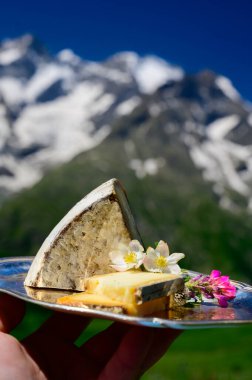 Peynir koleksiyonu, Fransız Alplerindeki Savoy bölgesinden Tomme de Savoie peyniri, açık havada hafif inek sütü peyniri, Fransız Alpe dağlarının karlı tepelerinde manzara