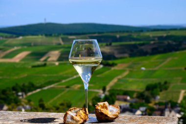 Sancerre Chavignol üzüm bağlarından alınmış beyaz şarap kadehleri ve Sancerre köyü yakınlarındaki çakıl taşı toprağı örneği, Cher, Loire vadisi, Fransa.