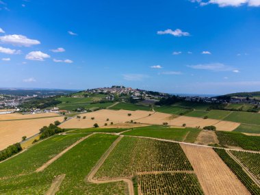 Sancerre adından üzüm bağları, Sauvignon Blanc üzümünden yapılan kuru beyaz şarap Loire nehrinin yamaçlarında farklı toprak türleri üzerinde yetişiyor, Fransa