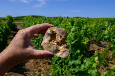 Toprak örneği, çakmaktaşı taşı, Pouilly-Fume adresli üzüm bağları, Sauvignon Blanc üzümlerinden yapılan kuru beyaz şarap farklı toprak türleri, Fransa