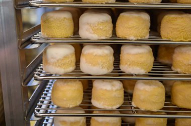 Peynir koleksiyonu, yumuşak keçi peyniri küflü Fransız peyniri Chavignol peyniri peynir tarlasında Sancerre yakınlarında üretiliyor.