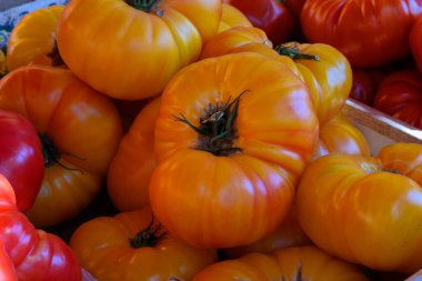 Tahta kutu içinde lezzetli sarı Fransız domatesleri var. Yaz mevsiminde Provence 'deki çiftçi pazarında. Yakın plan.