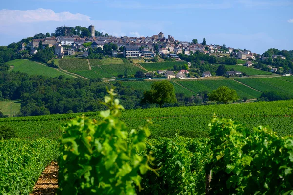 Sancerre Şaraplarının Etrafındaki Yeşil Üzüm Bağları Farklı Topraklarda Tepelerde Sıralanmış — Stok fotoğraf