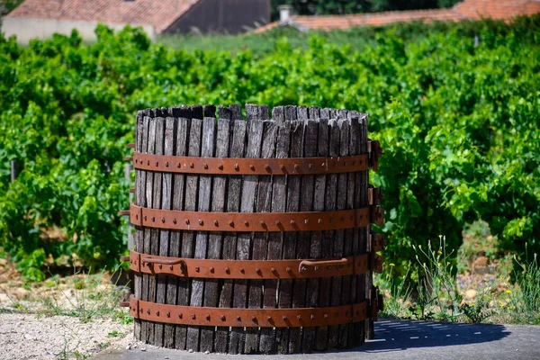 Старая Винная Пресса Винодельческой Деревне Шатонеф Папе Франции Зелеными Виноградниками — стоковое фото