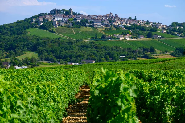 Sancerre Şaraplarının Etrafındaki Yeşil Üzüm Bağları Farklı Topraklarda Tepelerde Sıralanmış — Stok fotoğraf