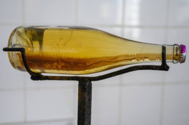 Şişe içindeki çökelti, şampanya yapmak için geleneksel vadi Chardonnay ve noir üzümleri Grand Cru Köyü Oger, Champagne, Fransa 'da