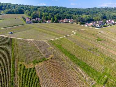 Hautvillers, Cumieres ve Marne River Valley, Champange, Fransa yakınlarındaki yeşil başbakanın panoramik hava manzaralı cru şampanya bağları ve tarlaları
