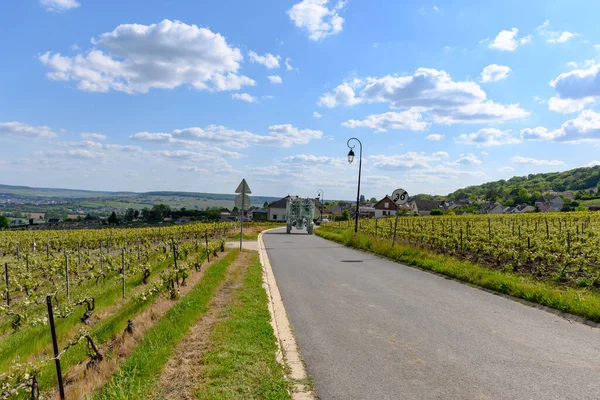 Epernay, Champange, Fransa yakınlarındaki Hautvillers köyündeki yeşil başbakan cru şampanya bağları ve Marne nehri manzarası