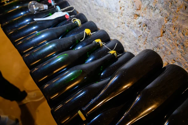 Går Djupa Underjordiska Grottor Med Flaskor Träställningar Traditionell Tillverkning Champagne — Stockfoto