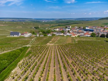 Yeşil büyük cru şampanya bağlarının panoramik hava manzarası ve Cramant köyünün evleri, Cotes des Blancs, Champange, Fransa