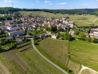 Yeşil başbakanın panoramik hava manzarası Hautvillers köyü yakınlarındaki üzüm bağlarına ve Fransa 'nın Champange kentindeki Marne Nehri vadisine bağlıdır.