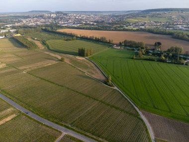 Hautvillers, Cumieres ve Marne River Valley, Champange, Fransa yakınlarındaki yeşil başbakanın panoramik hava manzaralı cru şampanya bağları ve tarlaları