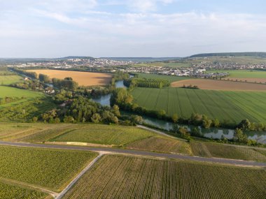 Hautvillers, Cumieres ve Marne River Valley, Champange, Fransa yakınlarındaki yeşil başbakanın panoramik hava manzaralı cru şampanya bağları ve tarlaları