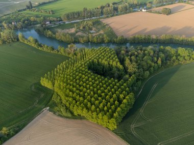 Hautvillers, Cumieres ve Marne River Valley, Champange, Fransa yakınlarındaki yeşil başbakanın panoramik hava manzaralı cru şampanya bağları ve tarlaları