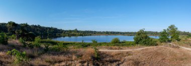 Gün ışığında ormanda yürüyüş yolu. Kuzey Brabant, Hollanda yakınlarındaki Doğa Koruma Alanı De Malpie 'de güneşli bir yaz sabahı. Avrupa 'daki doğa manzaraları. Orman gölündeki ağaçların yansıması.