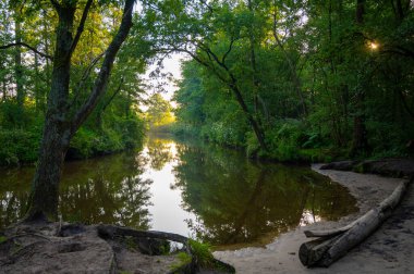 Kuzey Brabant, Hollanda yakınlarındaki Doğa Koruma Alanı De Malpie 'de güneşli bir yaz sabahı. Avrupa 'daki doğa manzaraları. Orman gölündeki ağaçların yansıması.