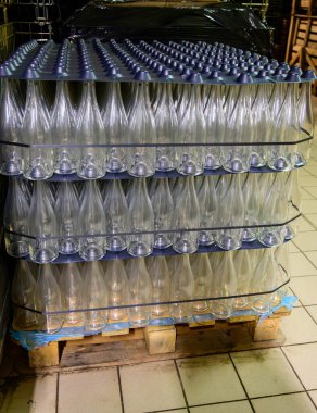 Bir sürü şampanya köpüklü şarap. Yeraltı mağaralarının ziyareti, Cote des Bar, Aube, Fransa 'nın güneyinde geleneksel şampanya yapımı.