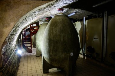 Mayalama işlemi için beton yumurtalar. Yeraltı mağaralarını ziyaret, Cote des Bar, Aube, Fransa 'nın güneyinde geleneksel şampanya üretimi.