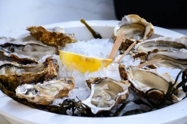 Taze Fransız Gillardeau istiridye yumuşakçaları limonla buzda kabuk bağlamış, yakından yemeye hazır, Marienne-Oleron, Fransa