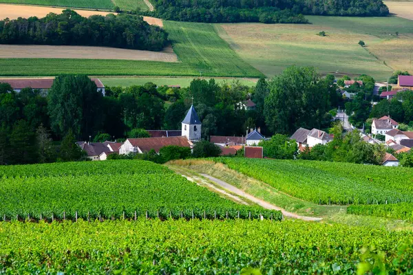 乌维尔有葡萄园和教堂的小山 法国香槟市南部奥贝Cote Des Bar有香槟酒葡萄园 — 图库照片