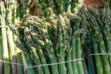 Fransa 'nın Arles kentindeki Fransız Provencal çiftçi pazarında satılık taze çiğ organik kuşkonmaz sebzeleri.