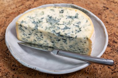 Peynir koleksiyonu, bir parça Fransız peyniri Auvergne ya da dört tane d 'Ambert yakın çekim..