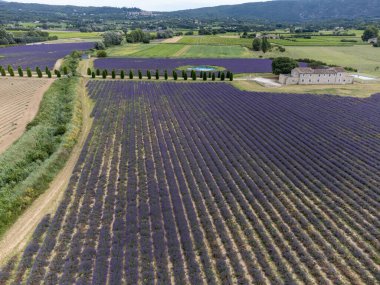 Fransa 'nın başkenti Luberon' da yaz mevsiminde çiçek açan mor lavanta, yeşil tarlalar ve Lacoste köylerinin hava manzarası