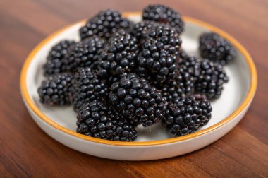 Taze taze böğürtlen böğürtlenleri yeni hasat.