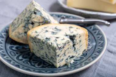 Peynir koleksiyonu, bir parça Fransız peyniri Auvergne ya da dört tane d 'Ambert yakın çekim..