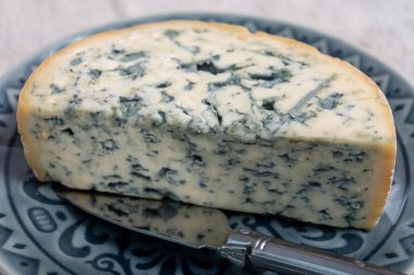 Peynir koleksiyonu, bir parça Fransız peyniri Auvergne ya da dört tane d 'Ambert yakın çekim..