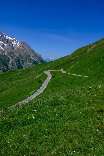 Virágzik Színes Vadvirágok Alpesi Rétek Tiszta Col Lautaret Francia Alpok — Stock Fotó