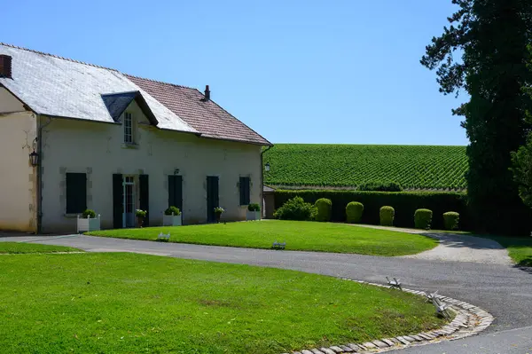 Burgundy, Fransa 'da Poully-sur-Loire köyü yakınlarındaki Loire nehrindeki Poully-sur-Loire şarap üretim bölgesinde yazın şato, tepe üzüm bağları, Fransa