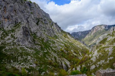 Los Arenas 'tan uzak dağ köyü Sotres' e, Picos de Europa dağlarına, Asturias 'a, İspanya' nın kuzeyine uzanan dar dağ yolu, vadi ve dağların manzarası.