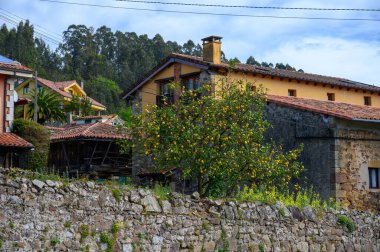 İspanya 'nın kuzeyindeki Asturias' ta arabayla seyahat ediyor. Köy manzarası, evler, Villaviciosa yakınlarındaki bahçeler.