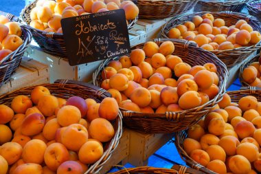 Fransa 'nın Provence şehrinde yeni olgun, sarı-kırmızı kayısı hasadı meyveleri. İngilizce çeviri: Cavaillon yapımcısından kayısı.