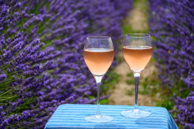 Fransız Provence 'de yaz mevsimi, Cotes de Provence' den soğuk gris gül şarabı ve Valensole platosundaki renkli lavanta tarlaları, Provence, Fransa 'nın tat ve aromaları..