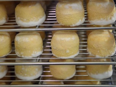 Peynir koleksiyonu, yumuşak keçi peyniri küflü Fransız peyniri Chavignol peyniri peynir tarlasında Sancerre yakınlarında üretiliyor.