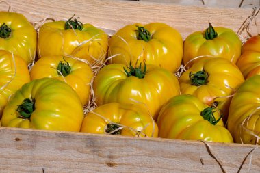 Tahta kutu içinde lezzetli sarı Fransız domatesleri var. Yaz mevsiminde Provence 'deki çiftçi pazarında. Yakın plan.