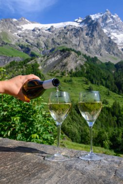 Kuru beyaz Roussette de Savoie ve Savoy bölgesinden Vin de Savoie Fransız şarabı içerken, üzerinde kar olan Hautes Alpes dağları manzaralı