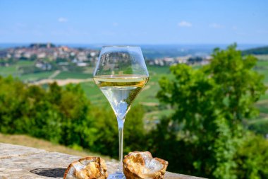 Sancerre Chavignol üzüm bağlarından alınmış beyaz şarap kadehleri ve Sancerre köyü yakınlarındaki çakıl taşı toprağı örneği, Cher, Loire vadisi, Fransa.