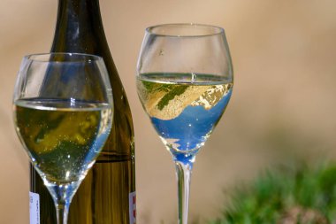 Savoy bölgesinden bir şişe sek beyaz Roussette de Savoie veya Vin de Savoie şarabı Fransa 'nın Savoy bölgesindeki Col du Galibier sınırında sunuldu..