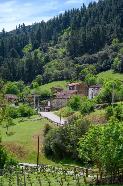 Vistas Del Verde Valle Liebana Casas Montañas Comarca Cantabria España —  Fotos de Stock