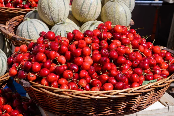 New Season Ripe Red Sweet Cherry Summer Fruits Venasque Village — Stock Photo, Image