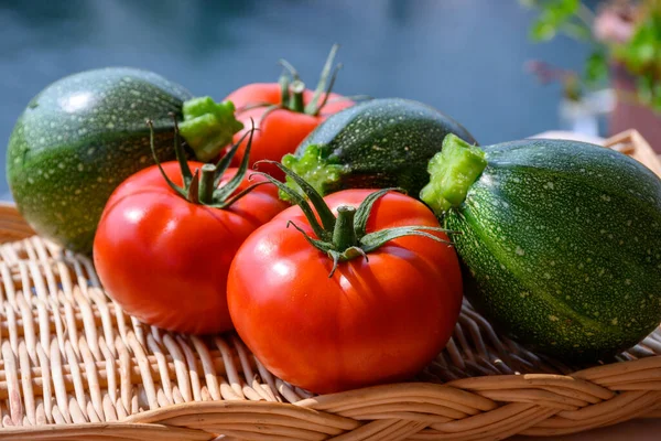 Verduras Ecológicas Calabacín Redondo Verde Tomates Rojos Maduros Franceses Mercado —  Fotos de Stock