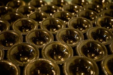 Bir sürü şampanya köpüklü şarap. Yeraltı mağaralarının ziyareti, Cote des Bar, Aube, Fransa 'nın güneyinde geleneksel şampanya yapımı.