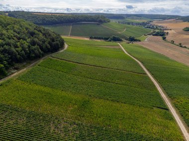 Urville yakınlarında üzüm bağları olan tepelerde hava manzarası, yazın Champange, Fransa 'nın güneyinde Cote des Bar, Aube' de yeşil şampanya bağları.
